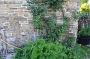 20110816 Boquet Bosquet Buildings 152